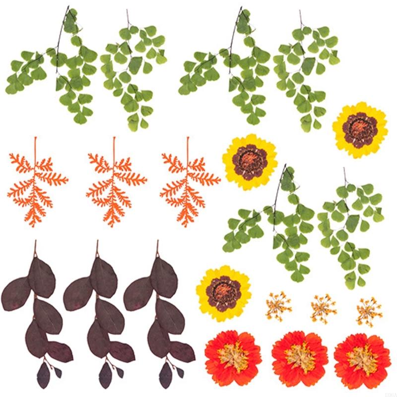 Natural Pressed Dried Flower F - Resin Craft Ideas ulasan dan harga